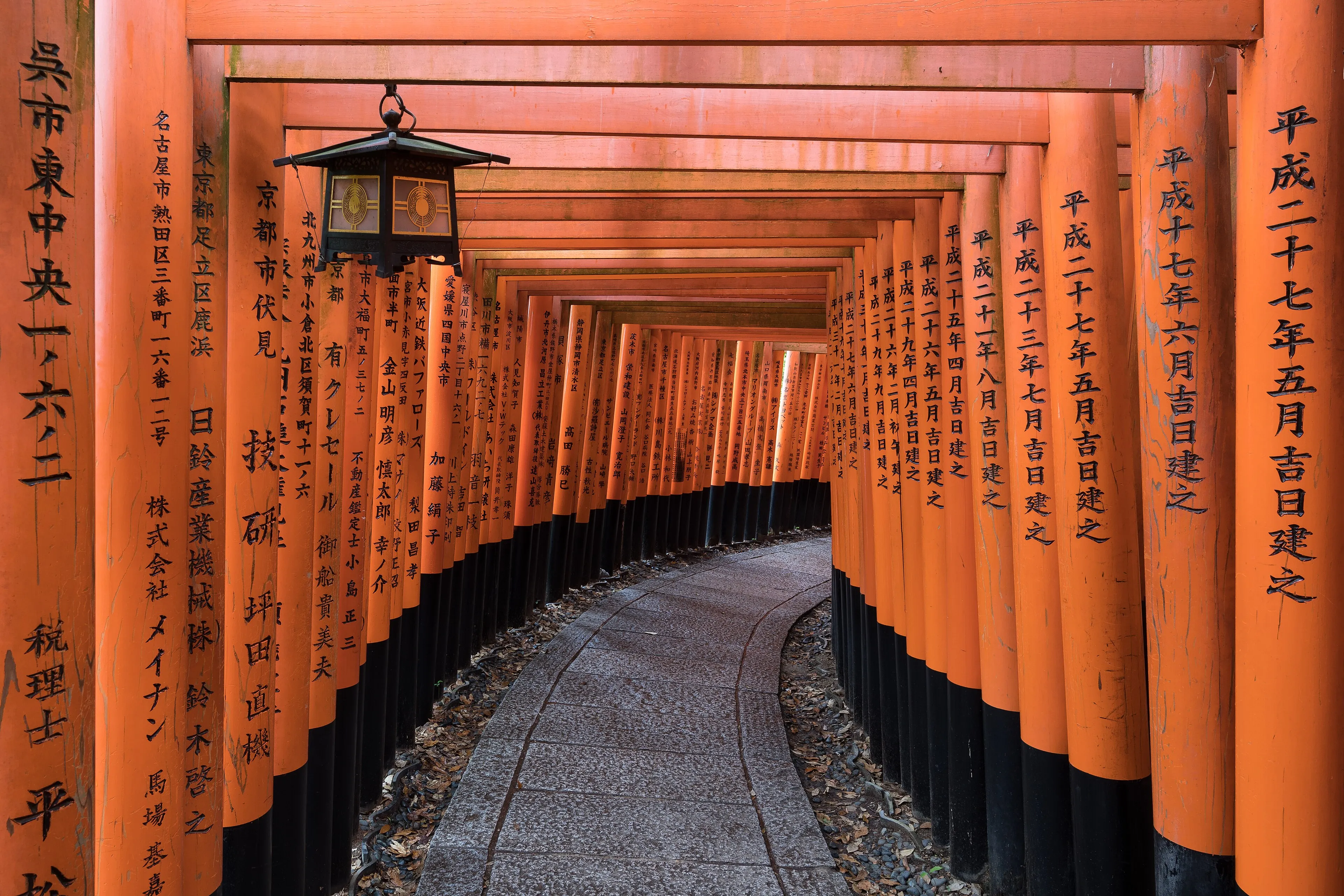 A path through rows of vermilion torii gates at Fushimi Inari shrine in Kyoto, lit by a hanging lantern