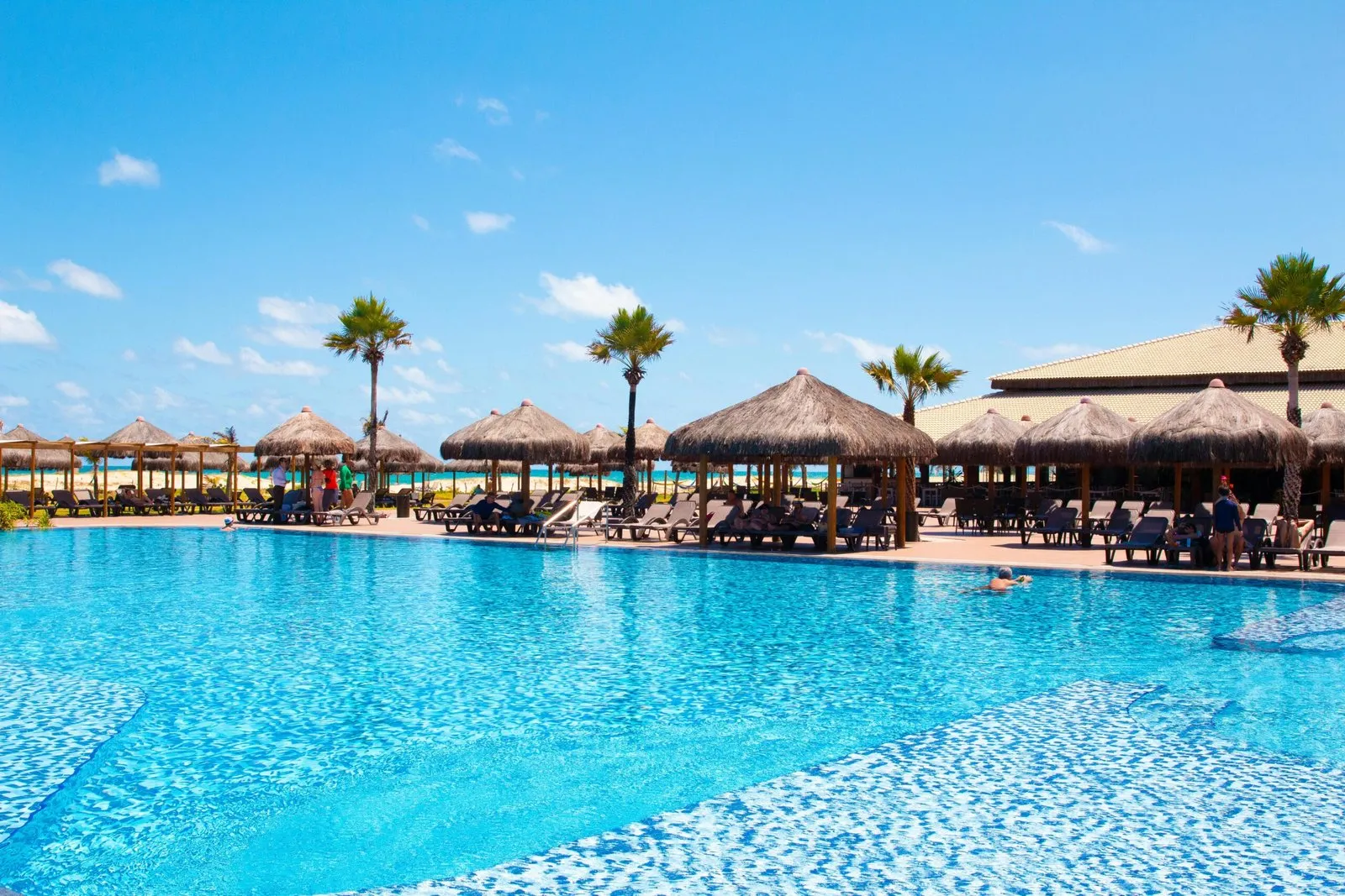 A resort pool lined with palapa umbrellas and palm trees